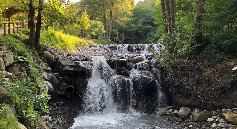 Sapanca - Masukiye Excursão de dia inteiro com almoço Turquia — #17