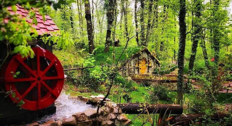 Sapanca - Masukiye Excursão de dia inteiro com almoço Turquia — #18