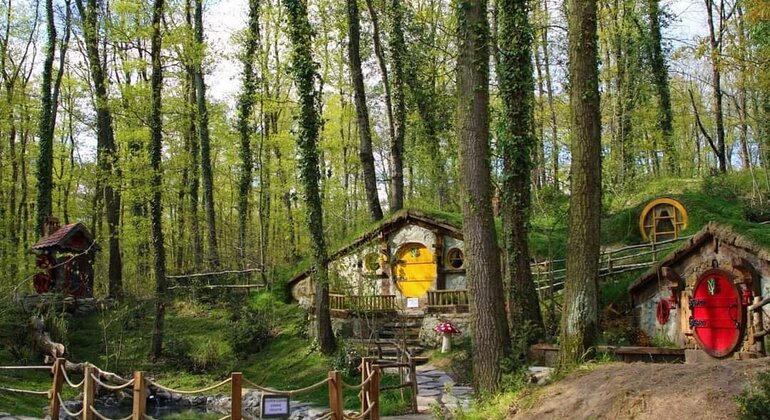 Sapanca - Masukiye Excursão de dia inteiro com almoço Turquia — #19