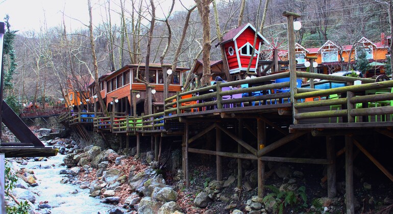 Sapanca - Masukiye Excursão de dia inteiro com almoço Turquia — #21