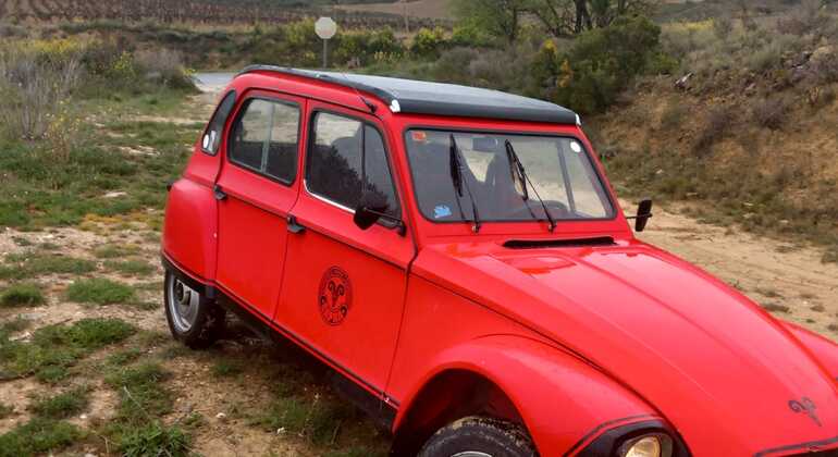 Tour turístico por las viñas riojanas