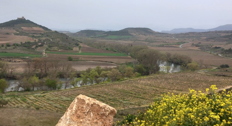 tour-fotografico-por-las-vinas-riojanas-es-1