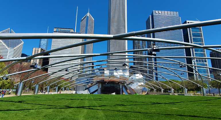 Free Tour Around Chicago Provided by We Galicia