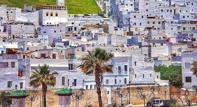 Free Tour of the Old Town of Tetouan Provided by Hassan nouri