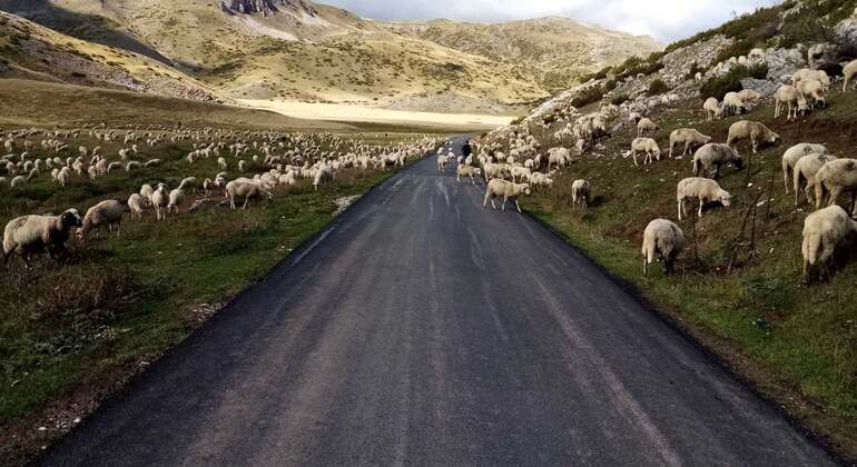 Monasterio de Mavrovo, Galicnik y Jovan Bigorski desde Skopje Macedonia — #9