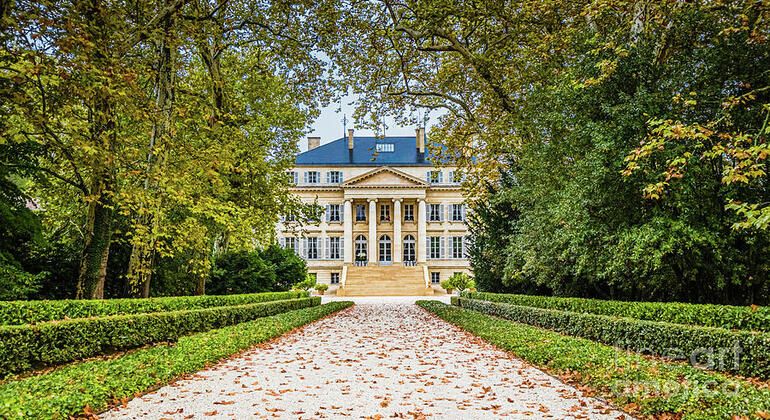 Visita de vinhos a Saint Emilion, Medoc e Sauternes Organizado por Nicholas depes