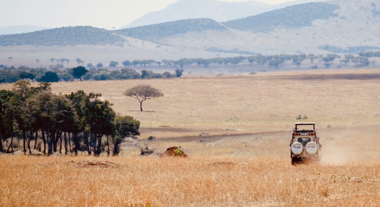 1 jour de visite du parc national d'Arusha et safari à pied privé