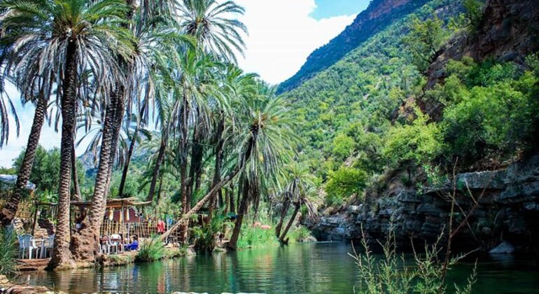 Excursión al Valle del Paraíso de Agadir