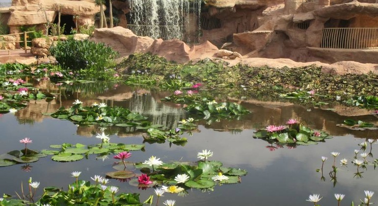 Parque dos Crocodilos de Agadir, com bilhete incluído Marrocos — #3
