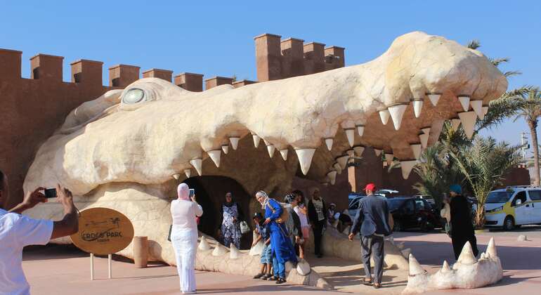 Parco dei coccodrilli di Agadir, biglietto incluso Fornito da AGADIR DISCOVERY