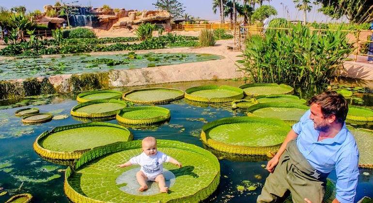 Parque dos Crocodilos de Agadir, com bilhete incluído Marrocos — #10