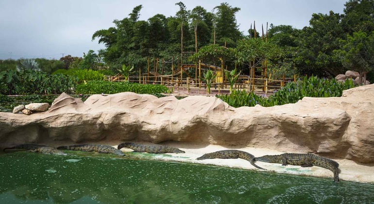 Parque dos Crocodilos de Agadir, com bilhete incluído Marrocos — #11