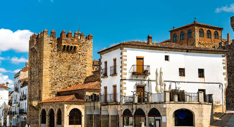 Essential Caceres Free Tour Provided by SPAINFREETOURS