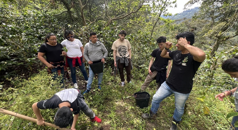 bogota-coffee-tour-in-silvania-coffee-farm-en-2