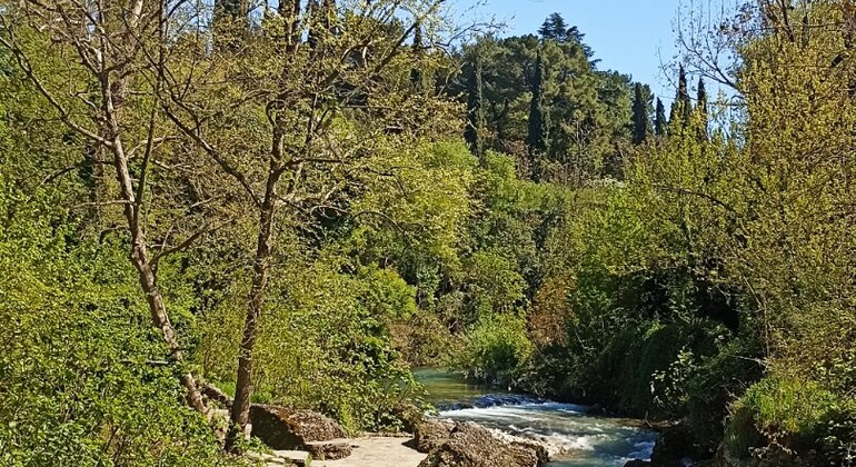 Historical & Hilarious: Discover Podgorica Free Tour