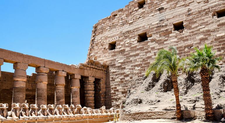 Visite guidée privée d'une journée à Louxor et montgolfière Égypte — #2