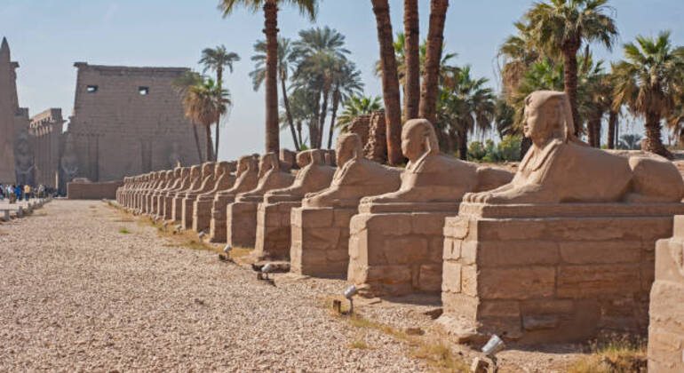 Visite guidée privée d'une journée à Louxor et montgolfière Égypte — #14