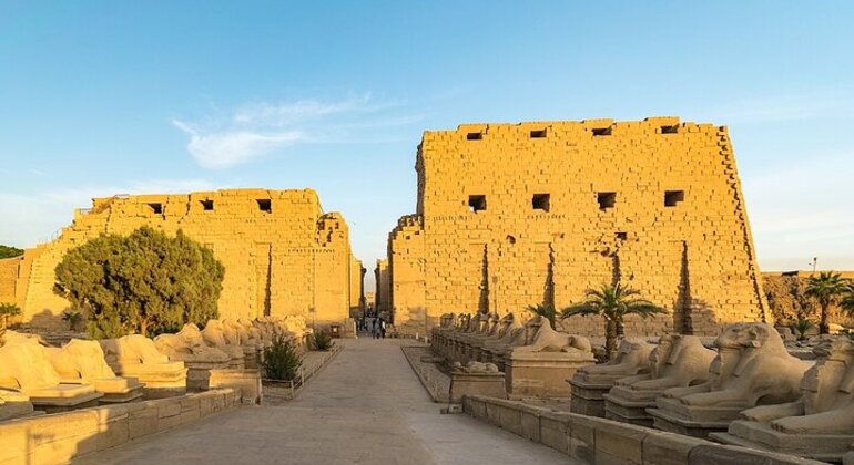 Visite guidée privée d'une journée à Louxor et montgolfière Égypte — #24