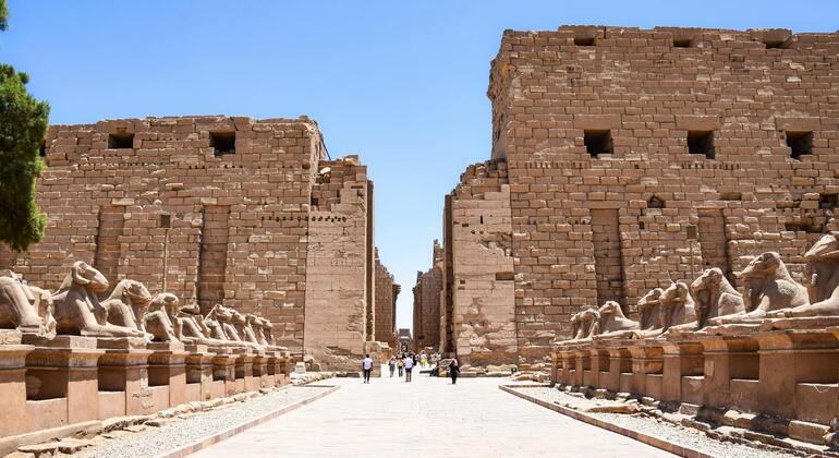 Visite guidée privée d'une journée à Louxor et montgolfière Égypte — #29