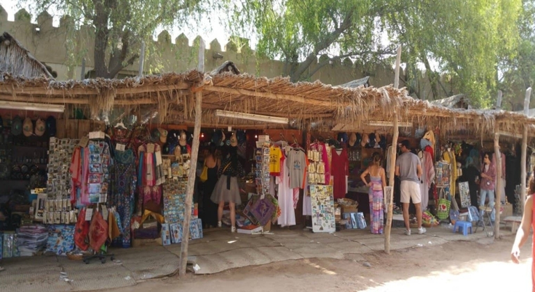 Visite privée de la ville d'Abu Dhabi Émirats arabes unis — #17