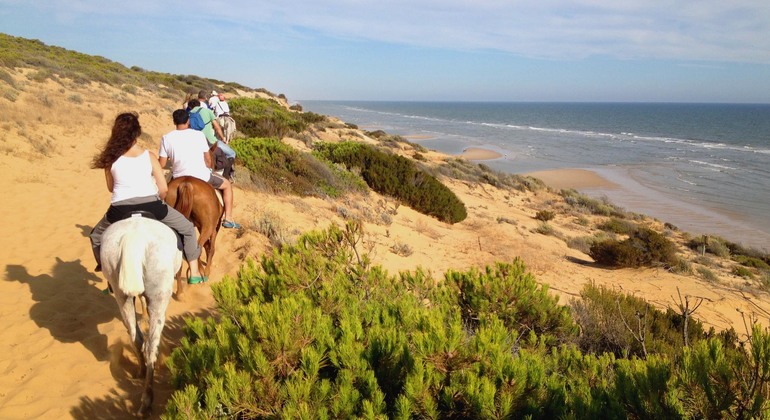 Excursion d'une journée dans le parc national de Doñana et El Rocio : Randonnée à cheval ou en 4x4