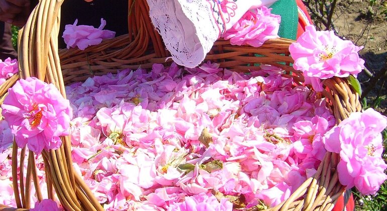 three-days-tour-marrakech-to-merzouga-desert-en-11