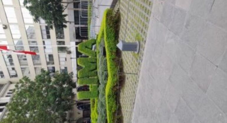 Free Tour Lima : Les lieux incontournables, Peru