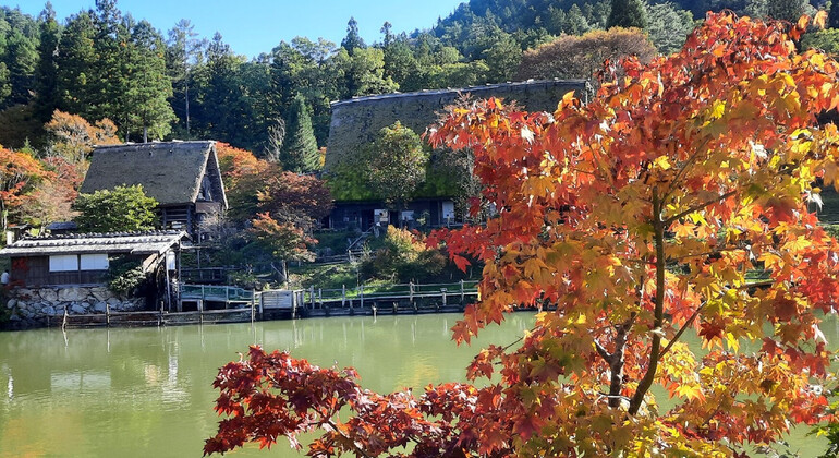 hida-takayama-shirakawa-go-tour-walking-tour-es-2
