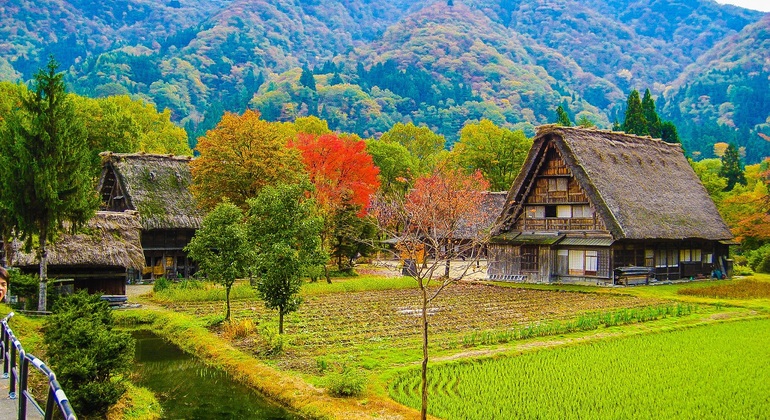 hida-takayama-shirakawa-go-tour-walking-tour-es-5