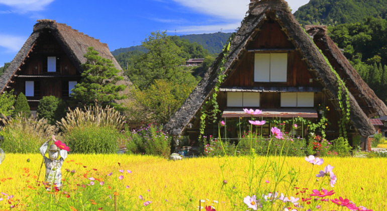 hida-takayama-shirakawa-go-tour-walking-tour-es-6