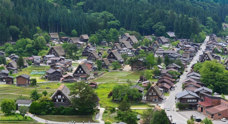 hida-takayama-shirakawa-go-tour-walking-tour-es-7