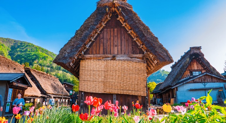 hida-takayama-shirakawa-go-tour-walking-tour-es-8
