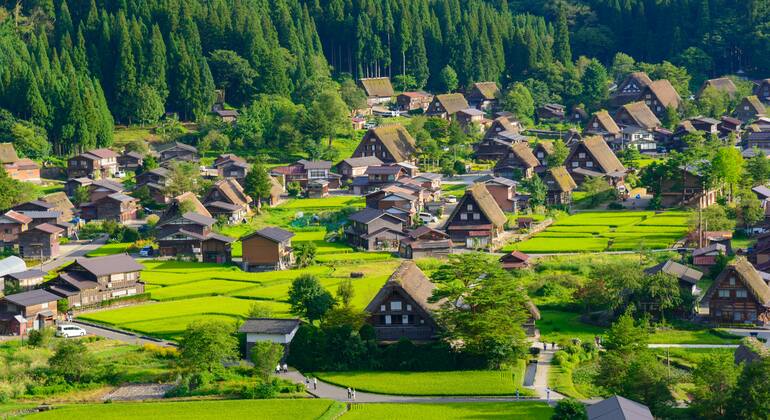 hida-takayama-shirakawa-go-tour-walking-tour-es-9