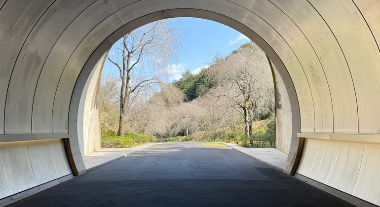 one-day-tour-to-miho-museum-lake-biwa-shirasu-shrine-en-7
