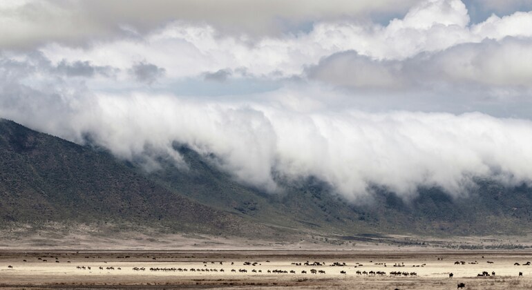 1 Day Ngorongoro Crater Safari from Arusha Tanzania — #2