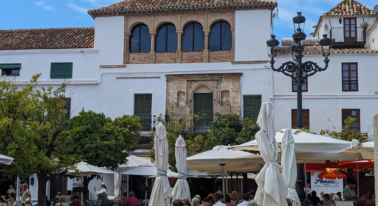 free-tour-marbella-es-2