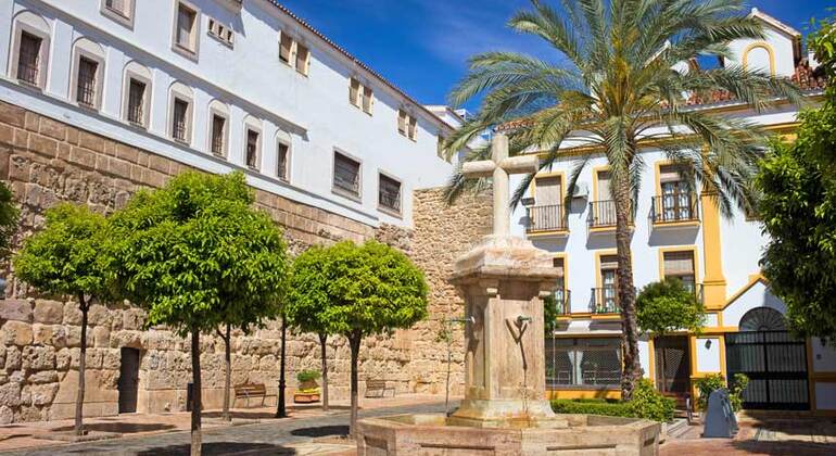 free-tour-marbella-es-3