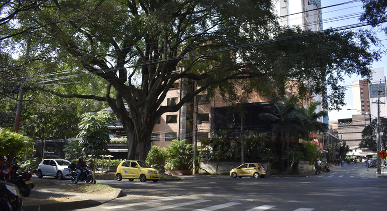 Free Tour Laureles: The Coolest Neighborhood in the World Colombia — #2