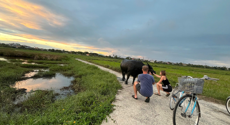 Hoi An in bicicletta e barca a cesto Vietnam — #4
