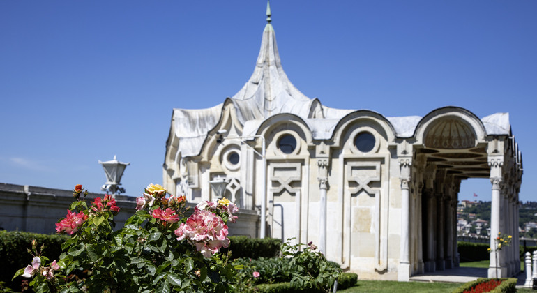 Descubra el Bósforo como ningún otro Turquía — #14