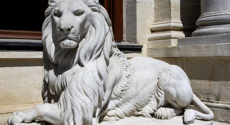 Descubra el Bósforo como ningún otro Turquía — #3