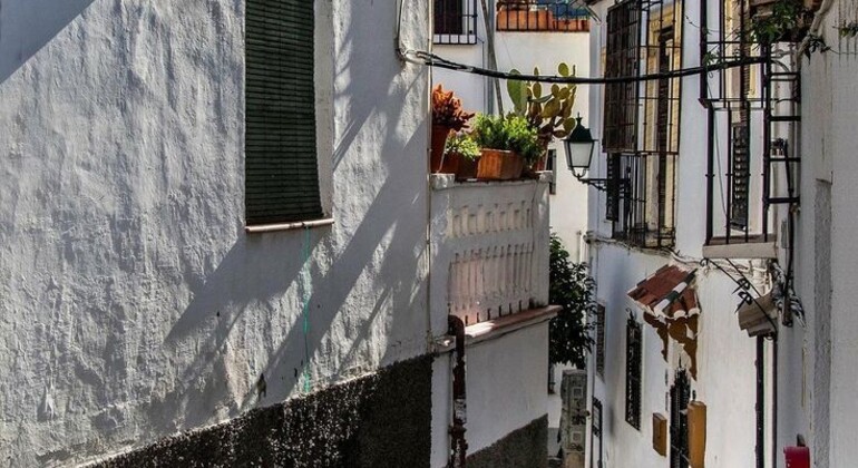 descubre-la-magia-de-granada-free-tour-es-3