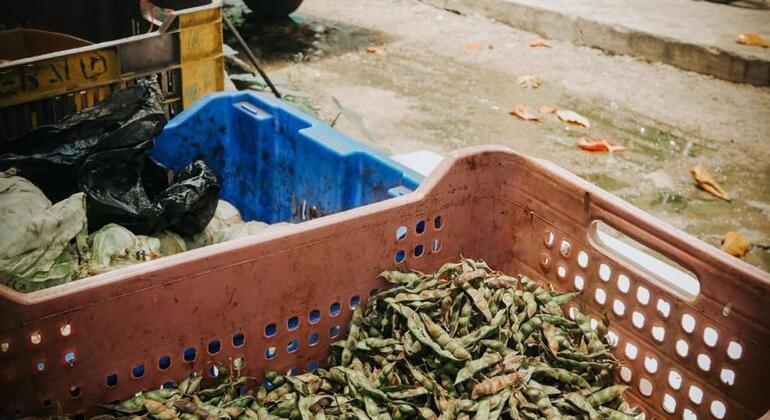 Santo Domingo: Il tour dell'autentico cappuccio dominicano Repubblica Dominicana — #39