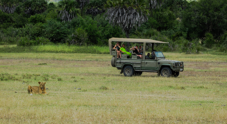 Avventura Safari Mikumi: Tour di un giorno Tanzania &mdash; #2