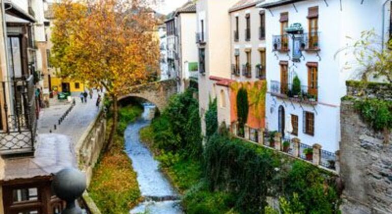 discover-granada-free-walking-tour-es-3