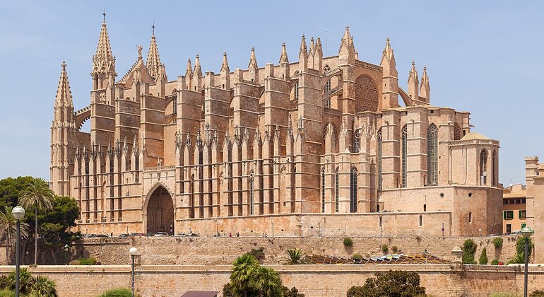 Visita livre: Cidade Velha de Palma Espanha — #3