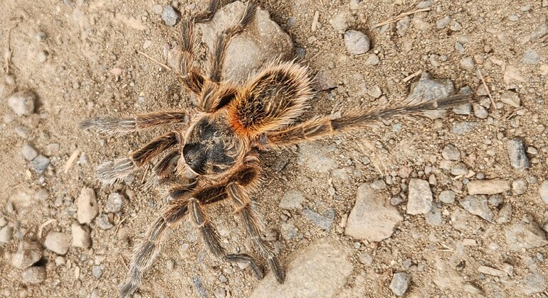 conoce-el-entorno-natural-de-chile-a-pasos-de-santiago-en-16