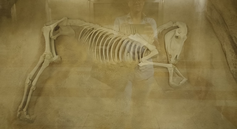 the-statues-tour-of-athens-en-1