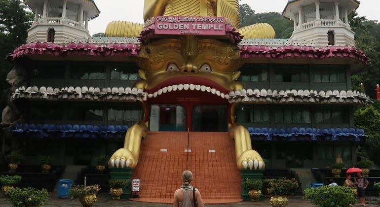 Excursión de un día de Kandy a Sigiriya y Dambulla Sri Lanka — #3