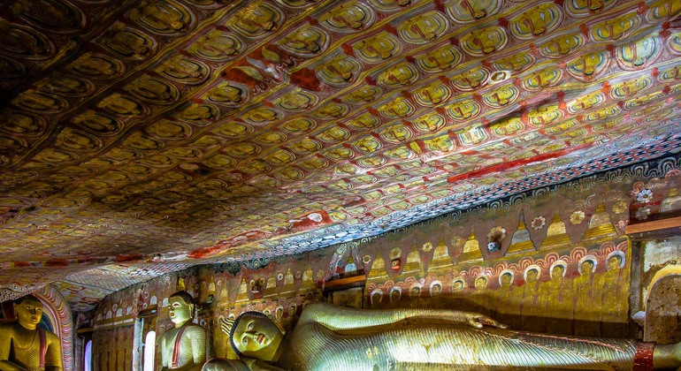 Excursión de un día de Kandy a Sigiriya y Dambulla Sri Lanka — #5